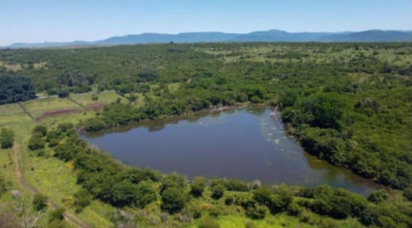 4 Bedroom Property for Sale in Frankfort Eastern Cape